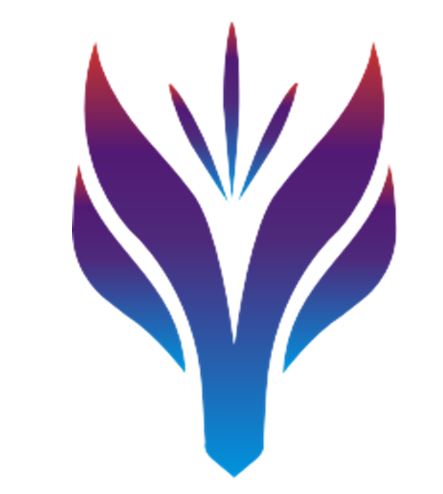 Fanmei Aviation Industrial Group Ltd. 2 Fanmei Aviation Industrial Group Ltd. 2